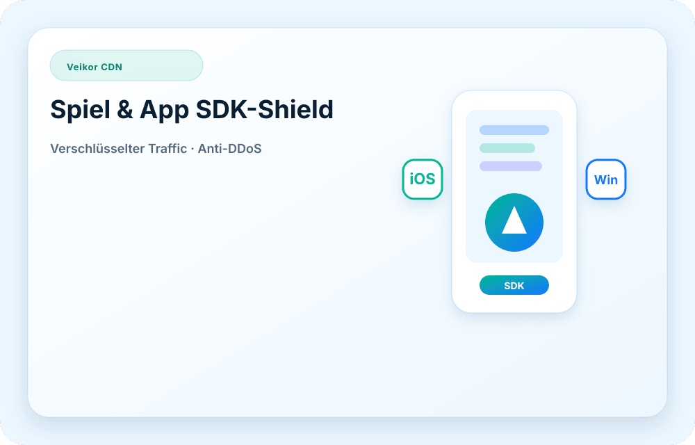Veikor CDN Service-Visual