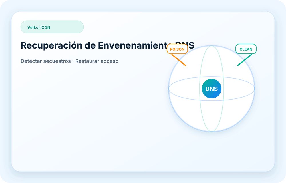 Visual del servicio Veikor CDN