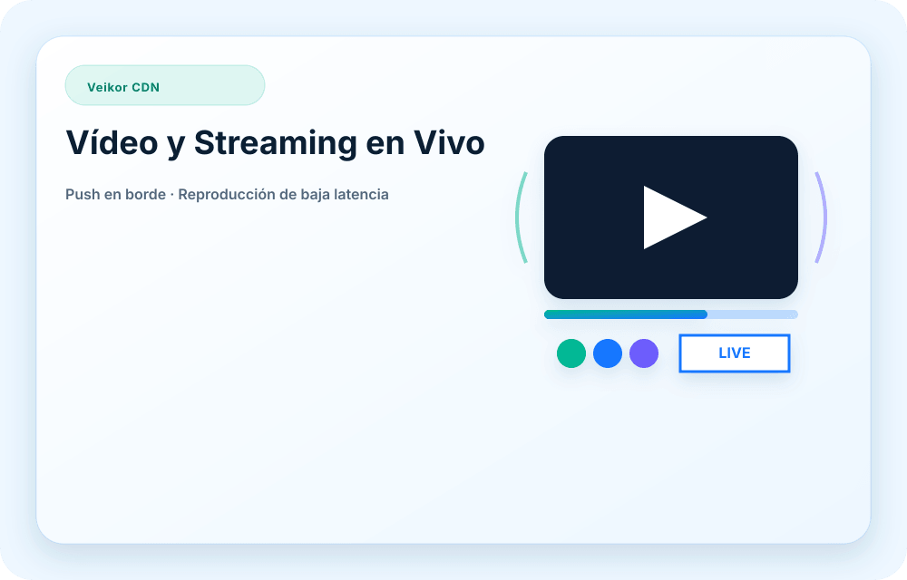Visual del servicio Veikor CDN