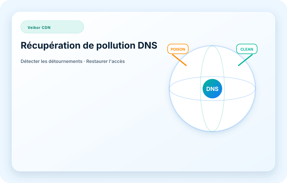 Visuel du service Veikor CDN