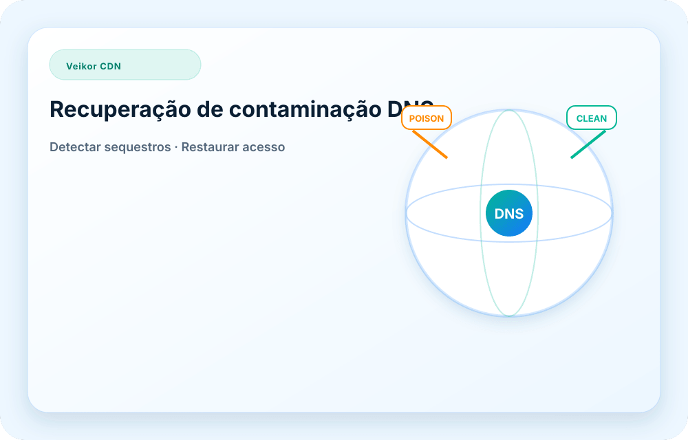Visual do serviço Veikor CDN
