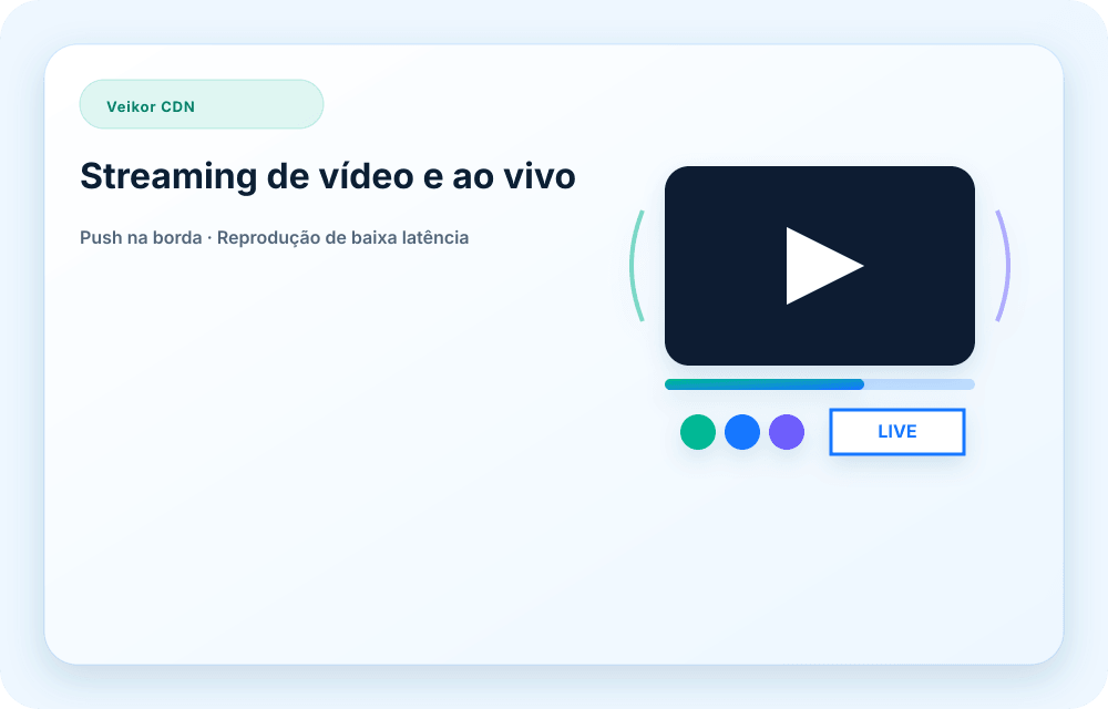 Visual do serviço Veikor CDN
