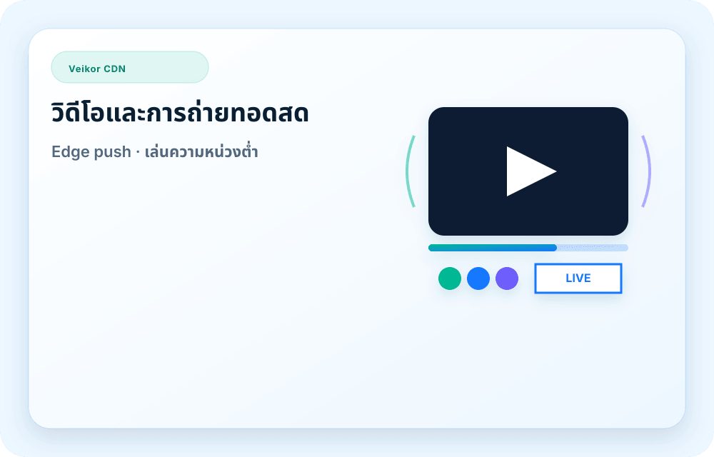 ภาพบริการ Veikor CDN